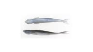 Reaction Innovations Shiver Glide - 5SG-108 - Thumbnail